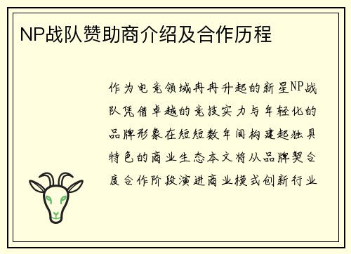 NP战队赞助商介绍及合作历程