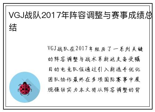 VGJ战队2017年阵容调整与赛事成绩总结